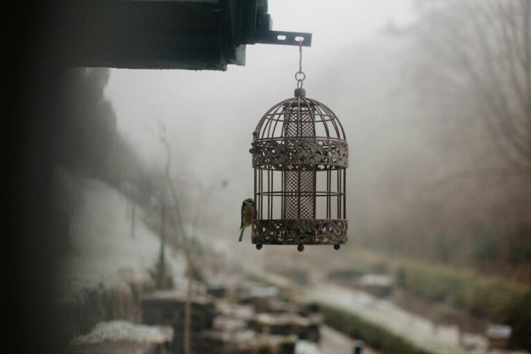 Sehnsucht nach mir